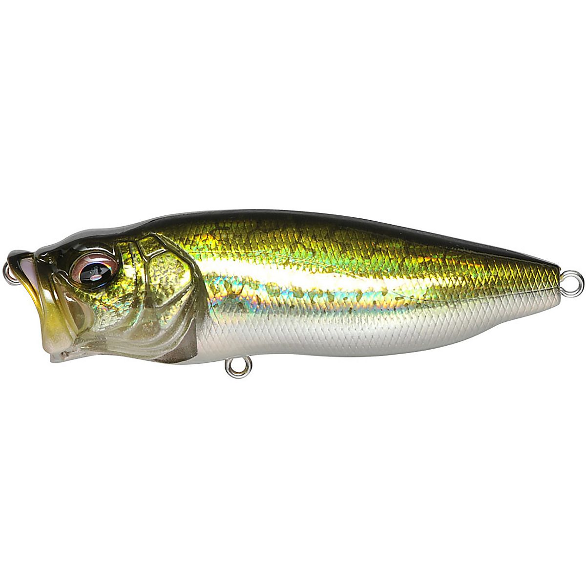 Megabass POPMAX Topwater Lure | Academy