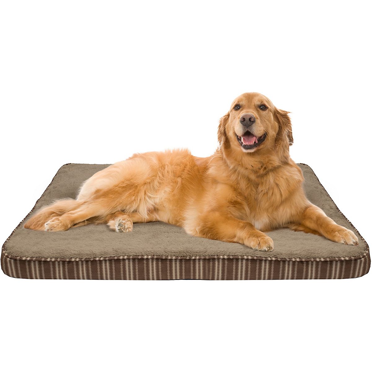 Dog beds 2025 at academy