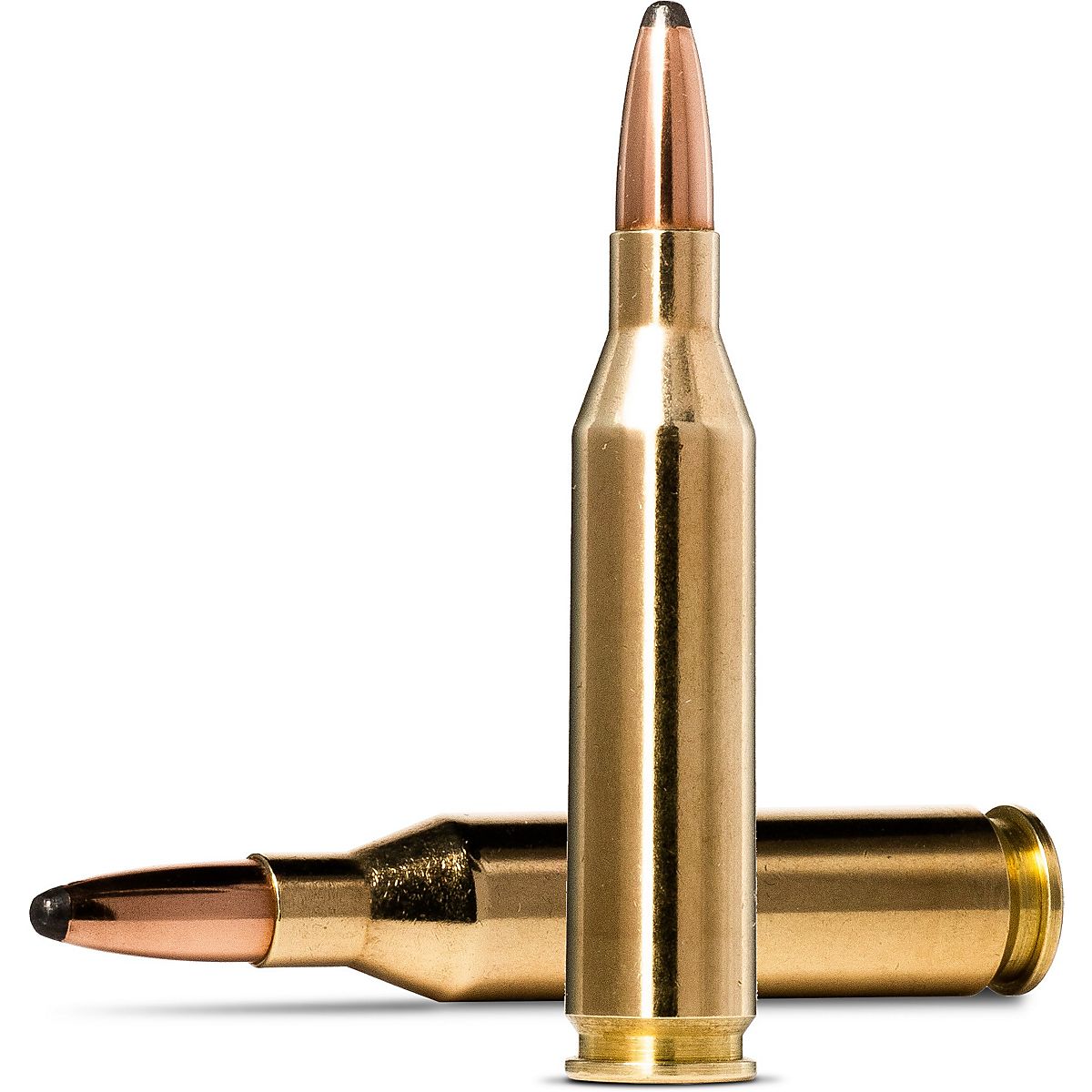 Norma USA Whitetail .243 Winchester 100-Grain Centerfire Rifle ...