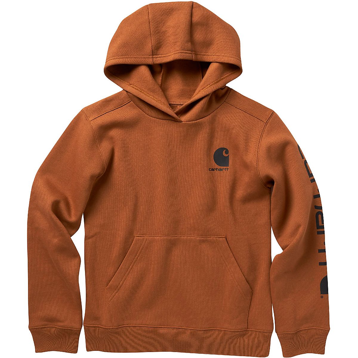 Carhartt Boys Logo Pullover Hoodie Free Shipping at Academy