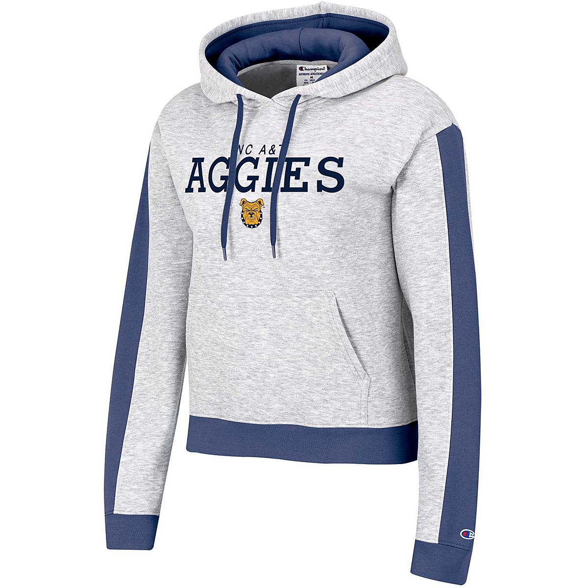 Champion Women's North Carolina A&T University Sleeve Stripe Hoodie