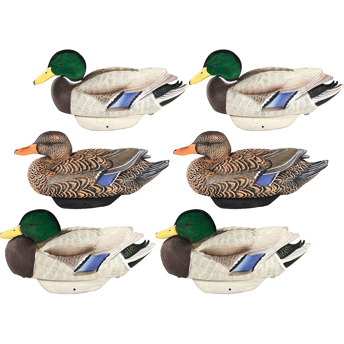 Lifetime Flocked Mallard HydroFoam Ultra-light Decoy 6-Pack | Academy