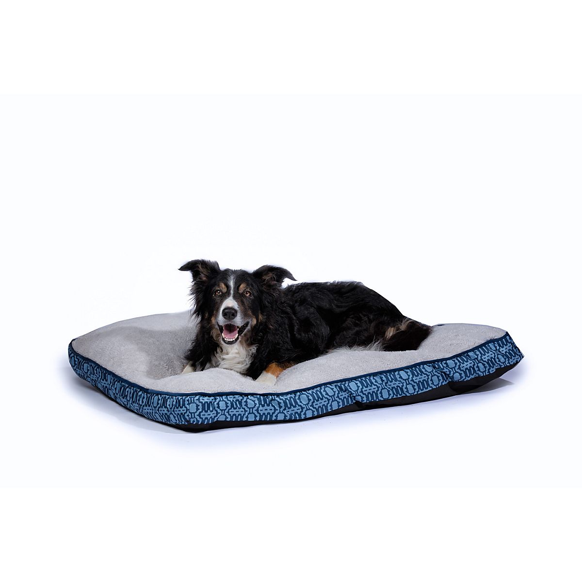 Academy sports dog clearance beds