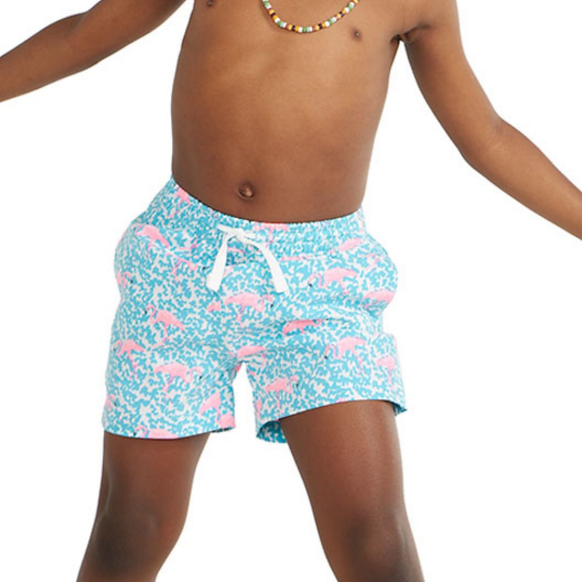 Chubbies Boys' Mini Mingos Stretch Swim Trunks Academy
