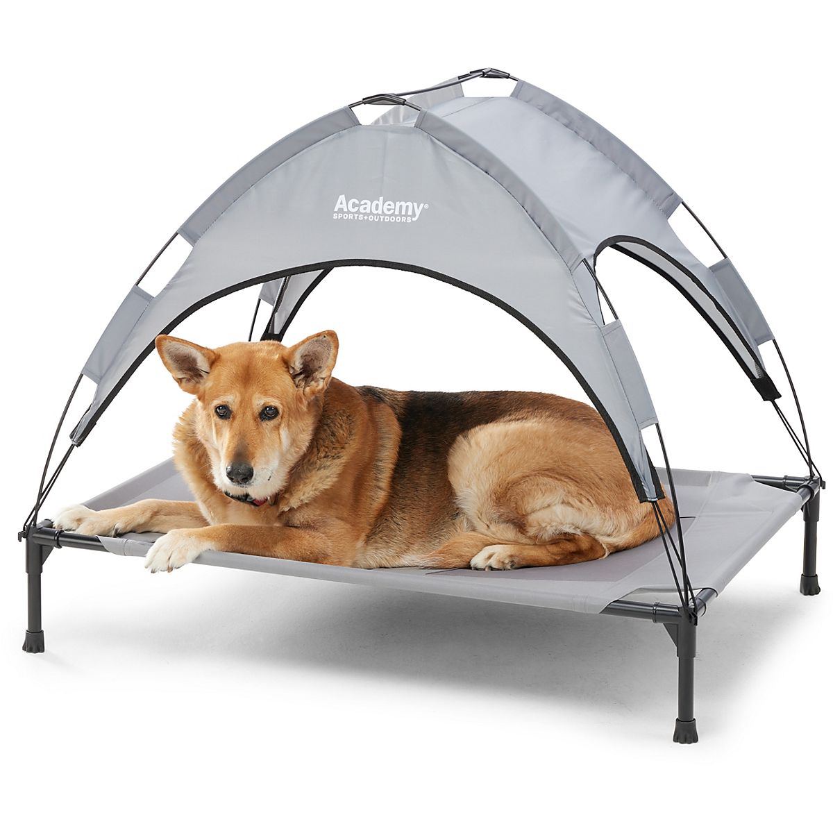 Academy sports dog on sale beds