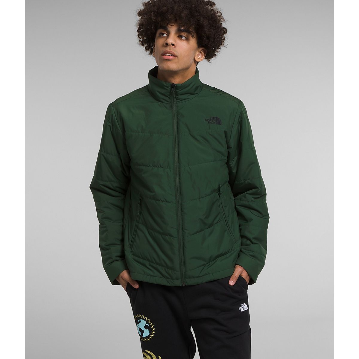 Mens north cheap face junction jacket