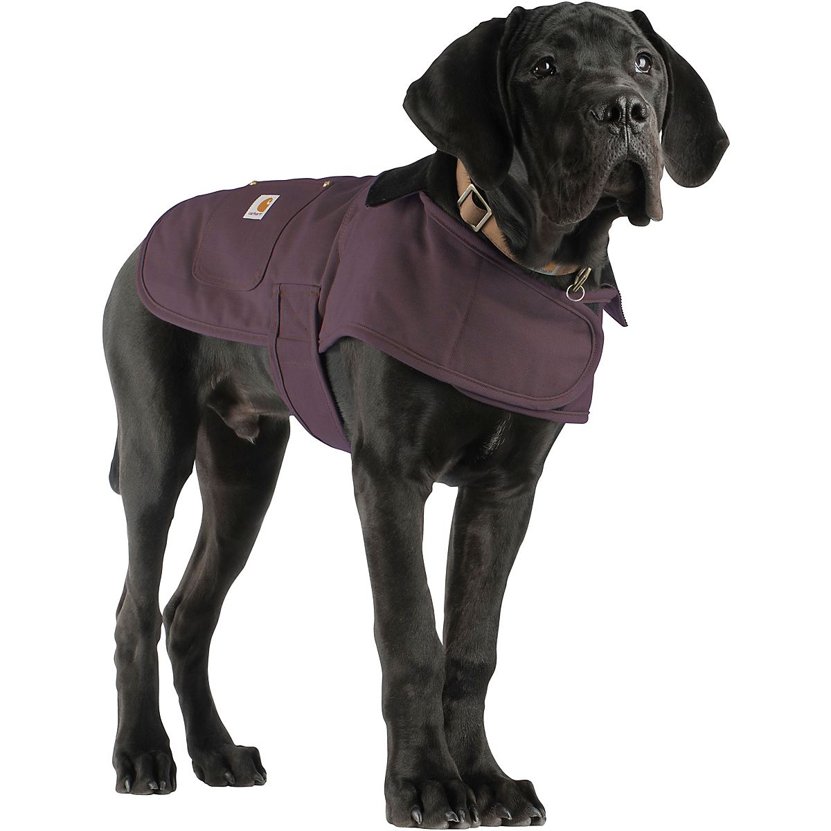 Carhartt SherpaInsulated Dog Chore Coat Academy