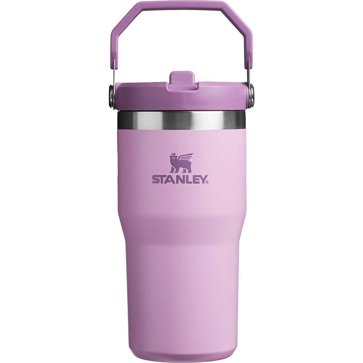 Stanley The IceFlow 20 oz Classic Flip Straw Tumbler | Academy