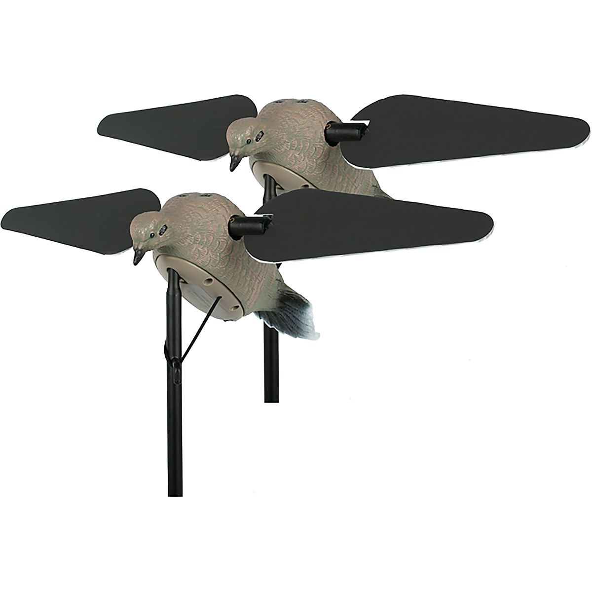 Dove CDセット mojovoodoodovefront_366443832.jpg