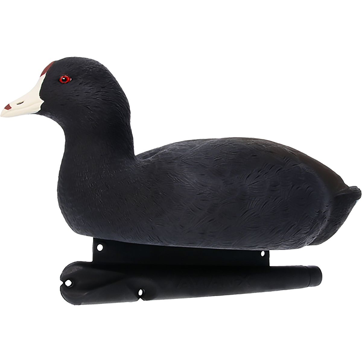 Avian X Topflight Coot Decoys 6-Pack | Academy