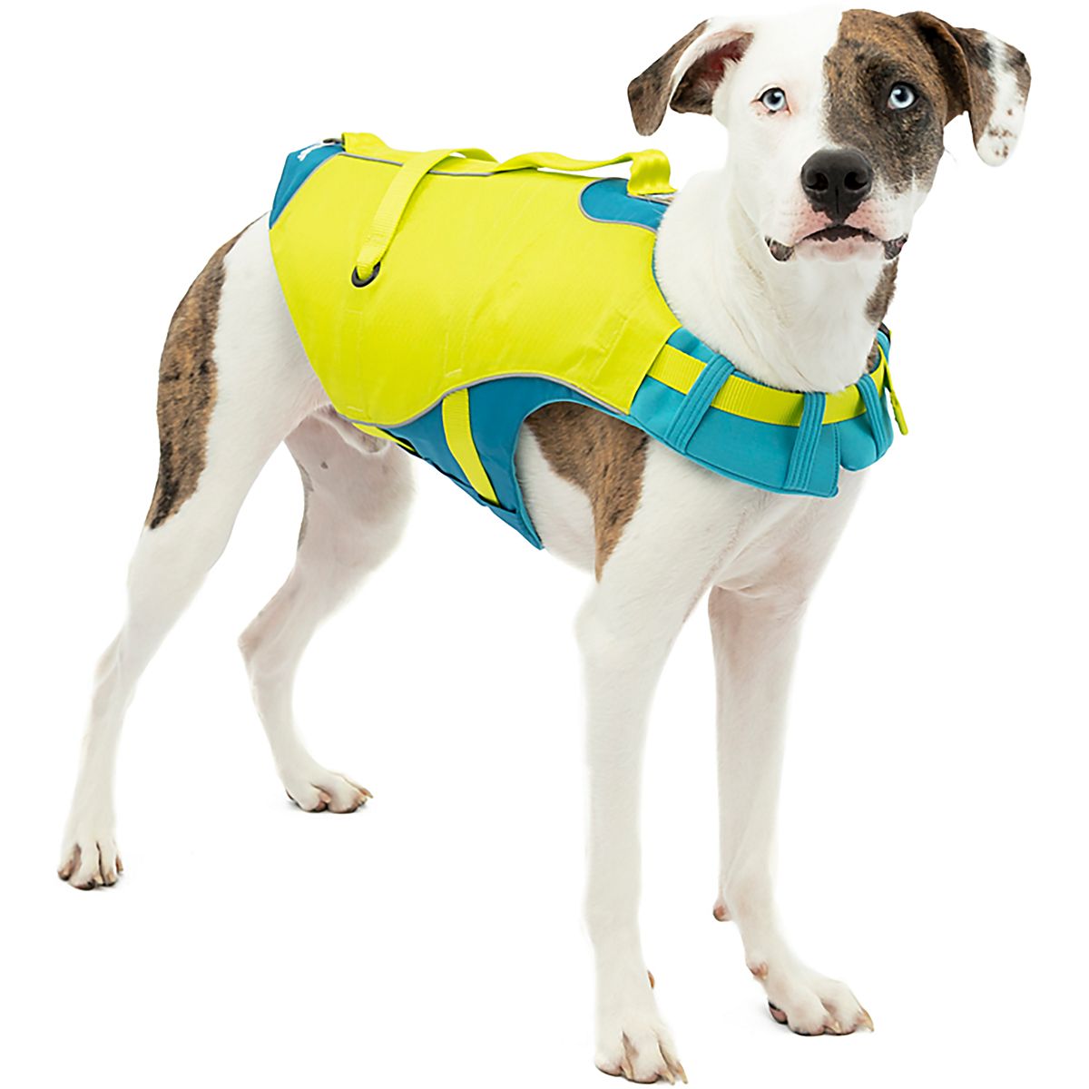 Kurgo Surf N Turf Dog Lifejacket | Academy