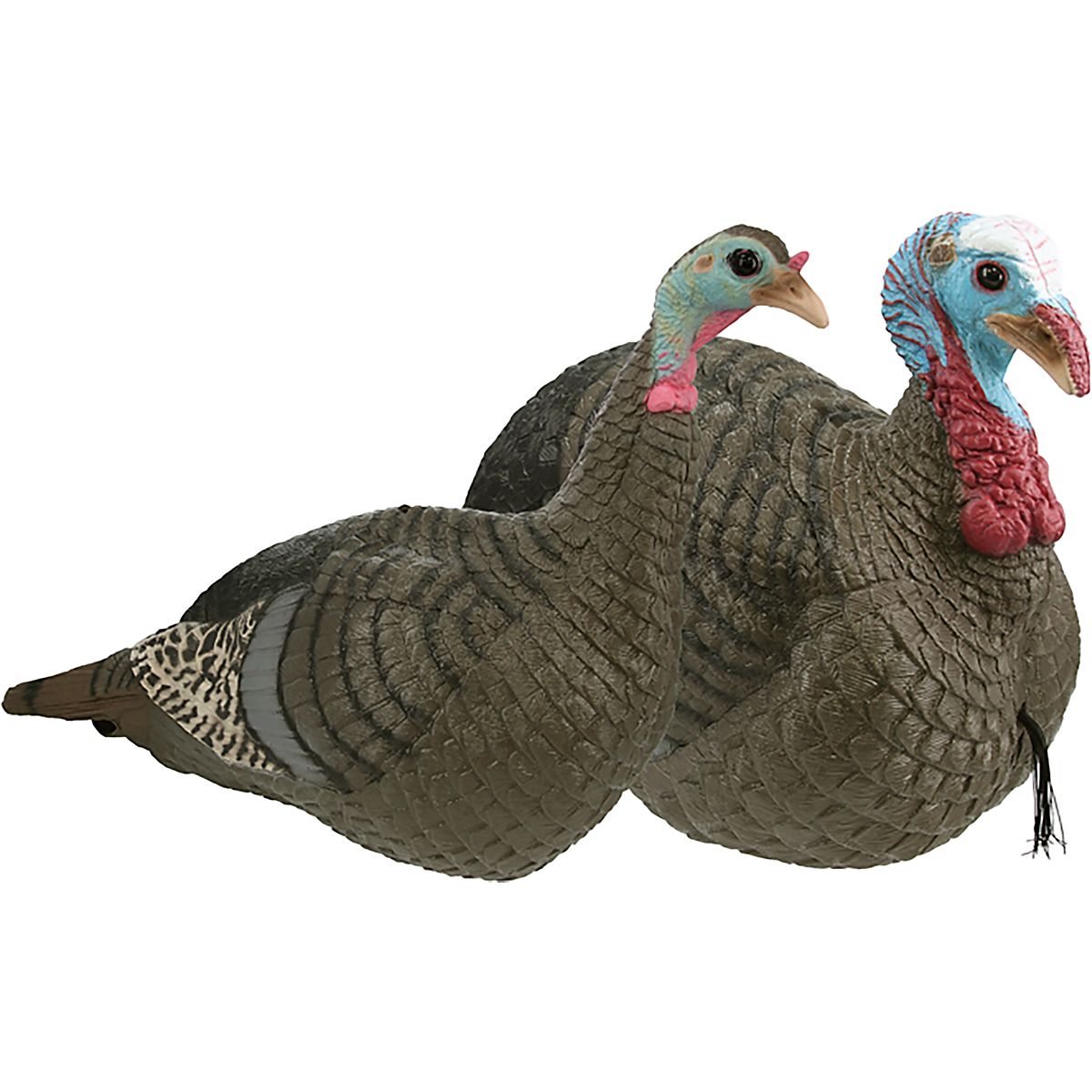 HS Strut Lite Jake & Feeding Hen Decoy Combo | Academy