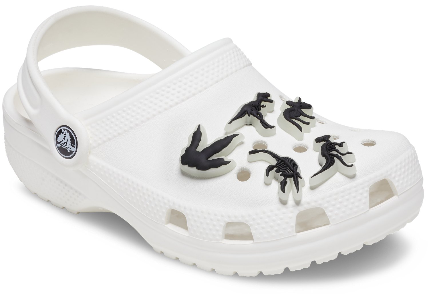 Crocs Glow In The Dark Dino Jibbitz 5Pack Academy