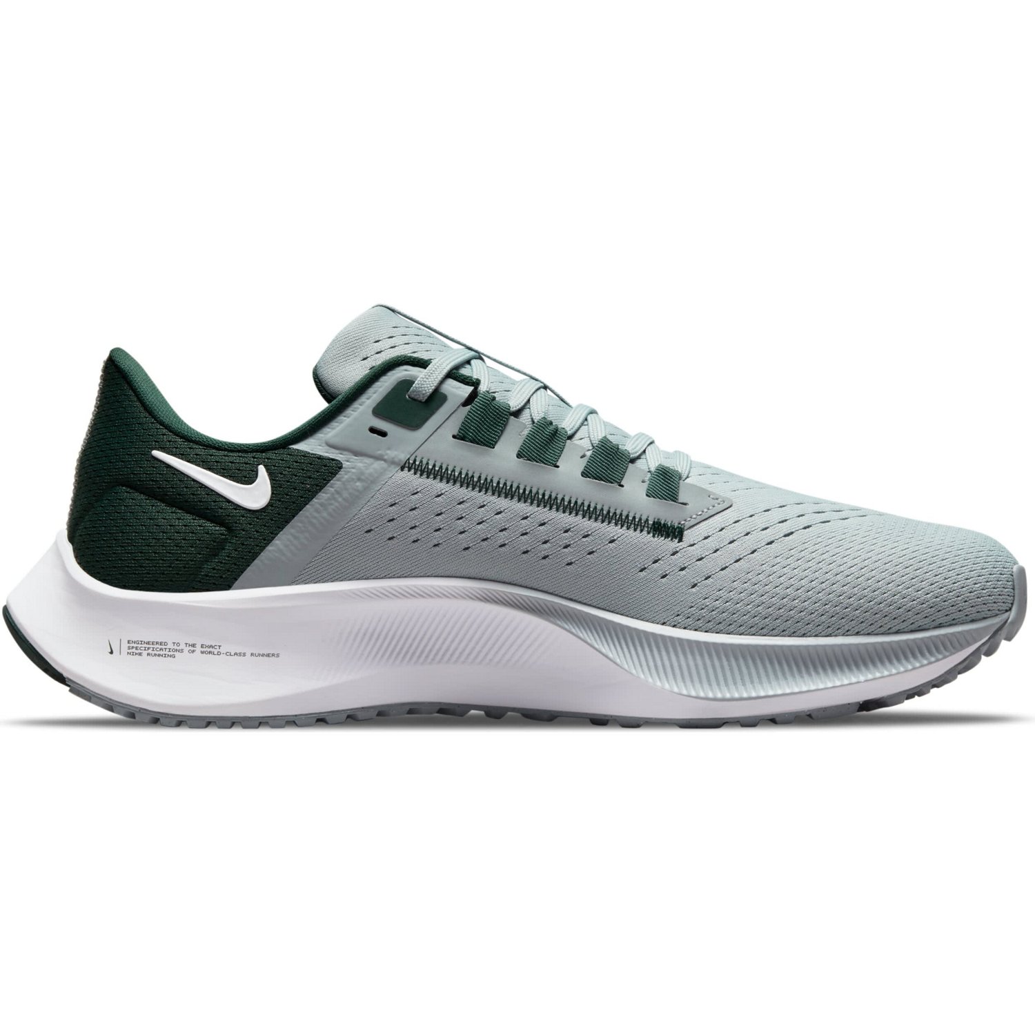 nike michigan pegasus 38
