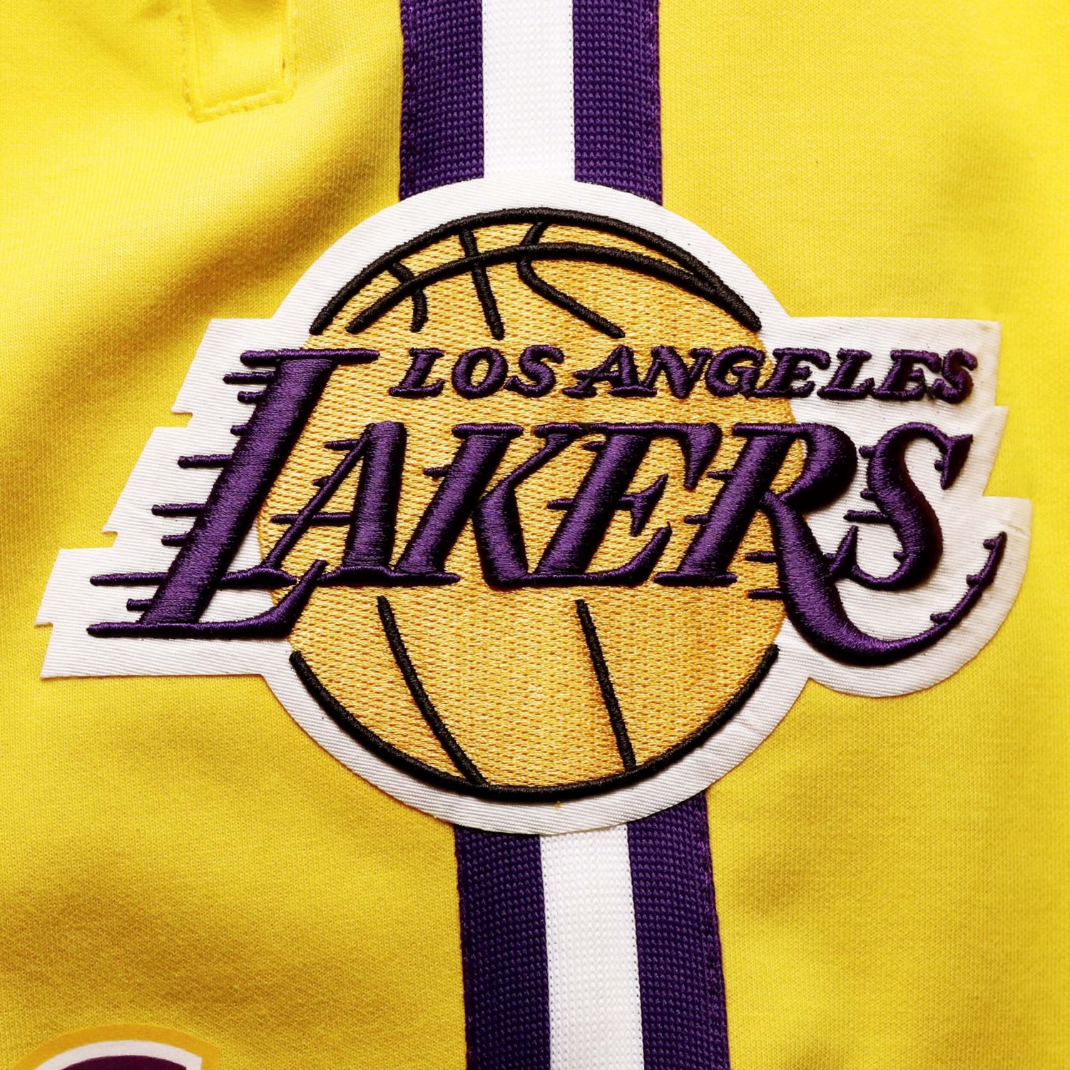 Pro Standard LeBron James Los Angeles Lakers Player Replica Shorts ...